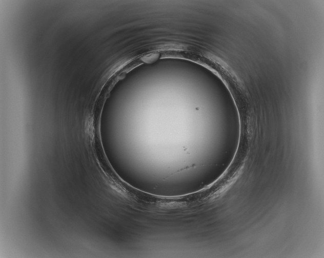 X0000113641113200909181451