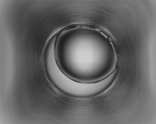 X0000113641114200909181451