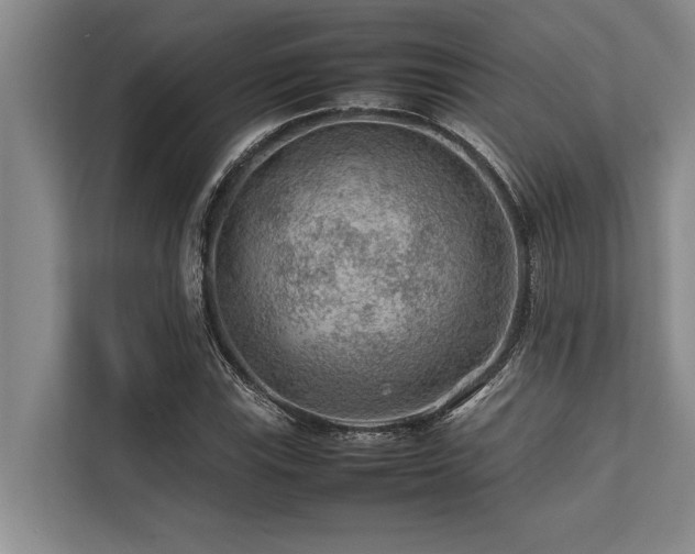 X0000113641115200909181451