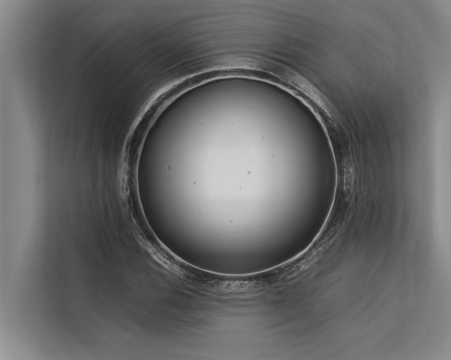 X0000113641116200909181451