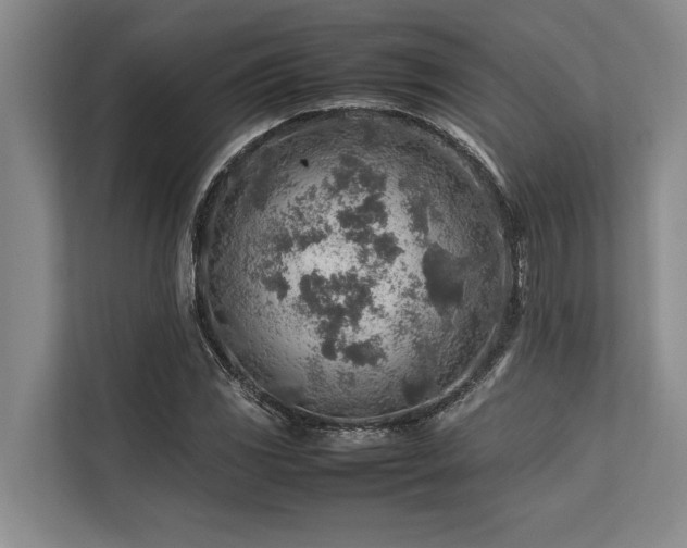 X0000113641117200909181451