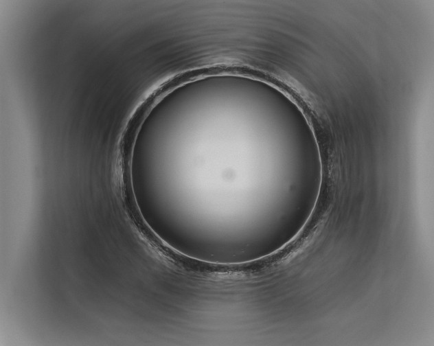 X0000113641118200909181451