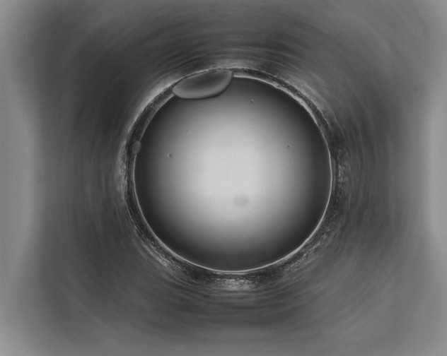 X0000113641119200909181451