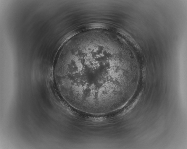 X0000113641121200909181451