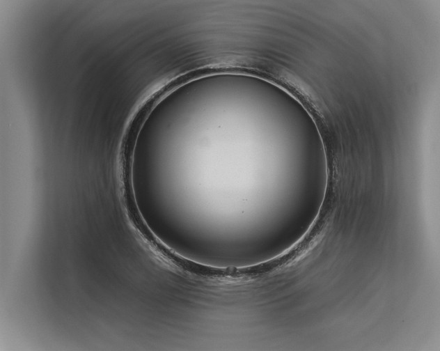 X0000113641122200909181451