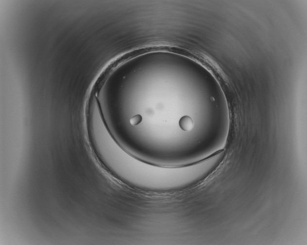 X0000113641124200909181451