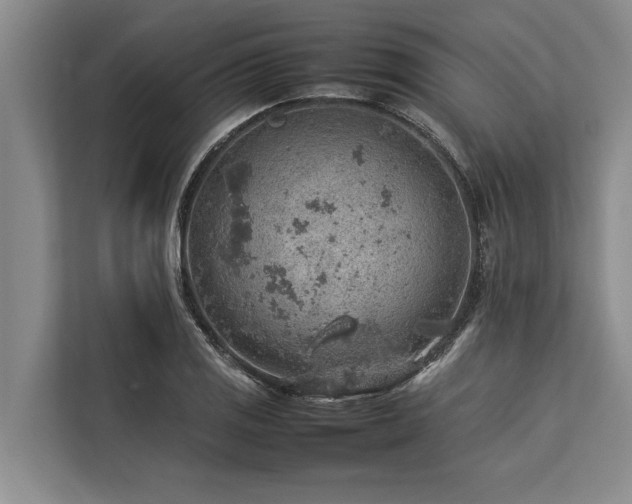 X0000113641125200909181451