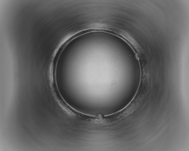 X0000113641128200909181451