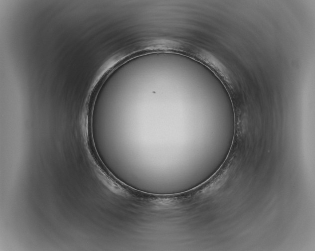 X0000113641130200909181451