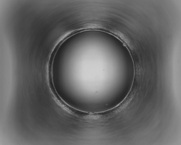 X0000113641134200909181451