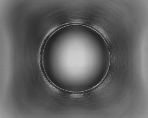 X0000113641135200909181451