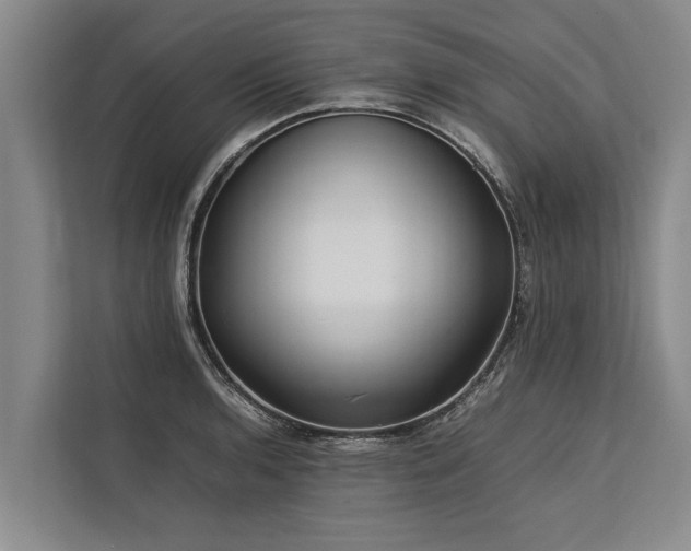 X0000113641136200909181451