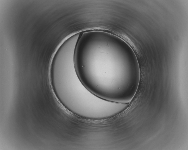 X0000113641140200909181451