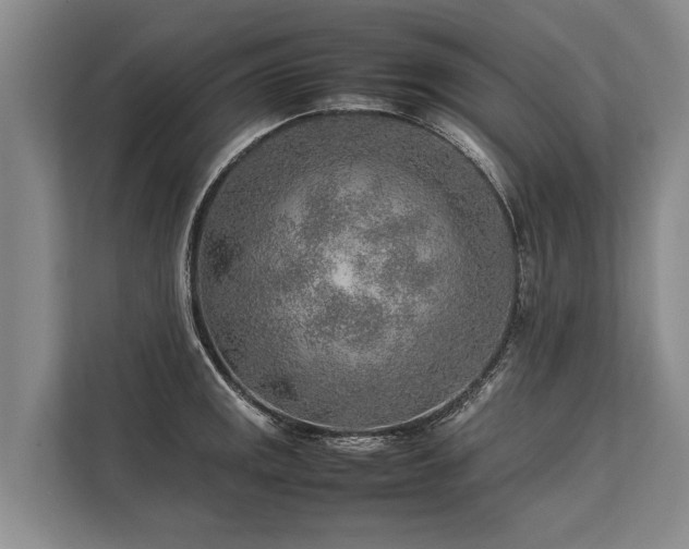 X0000113641141200909181451