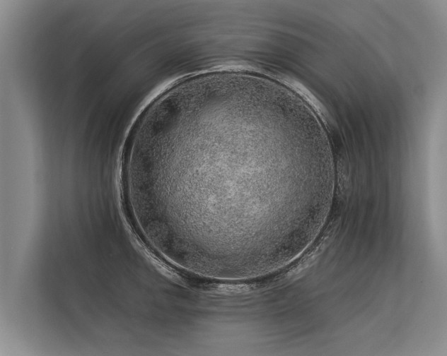 X0000113641142200909181451