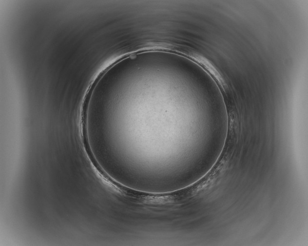 X0000113641143200909181451