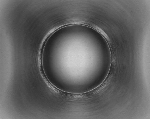 X0000113641144200909181451