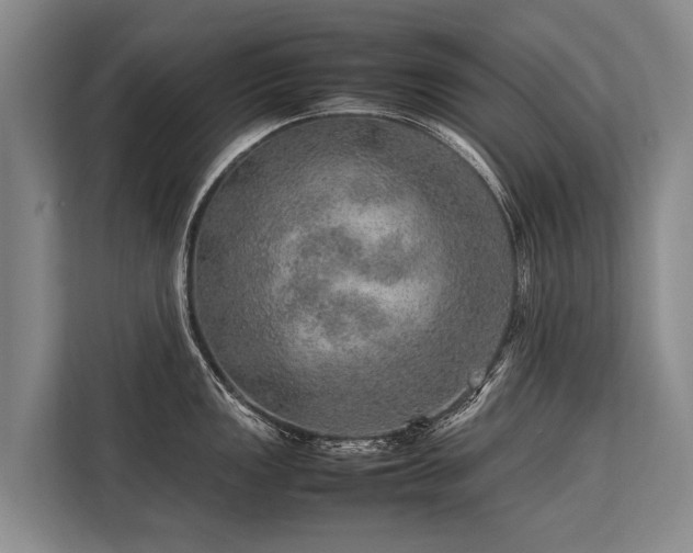 X0000113641149200909181451