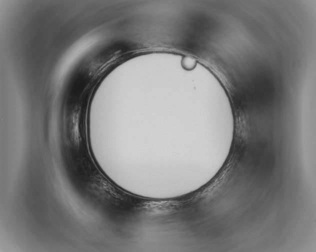 X0000113641150200909181451