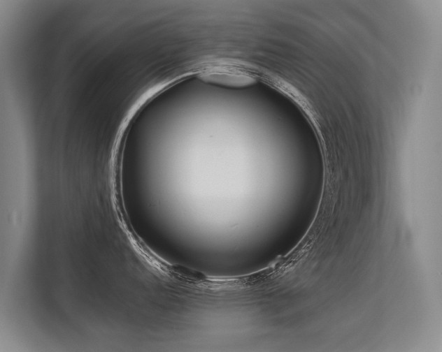 X0000113641152200909181451