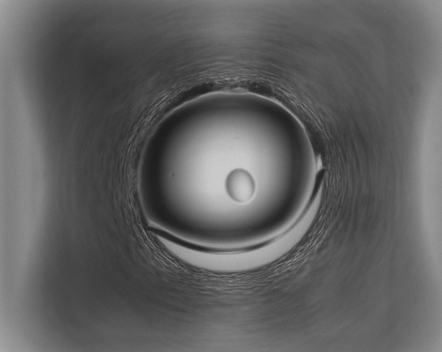 X0000113641153200909181451