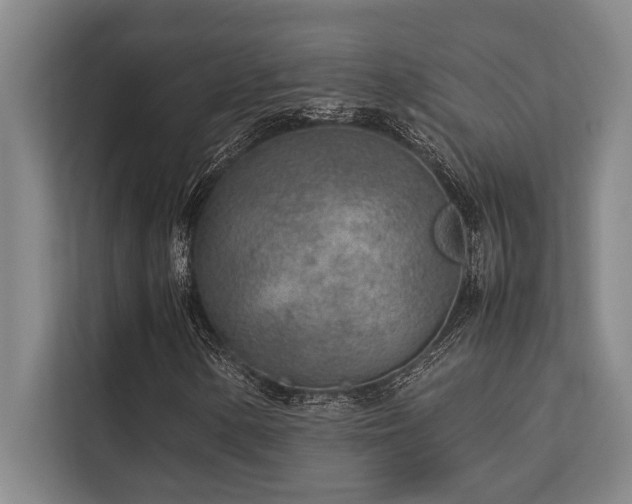 X0000113641154200909181451