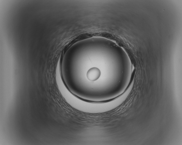 X0000113641157200909181451