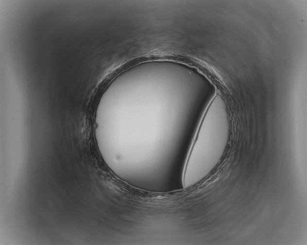 X0000113641160200909181451