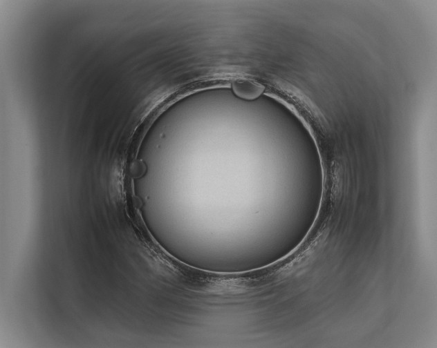 X0000113641162200909181451