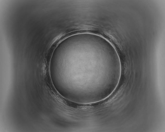 X0000113641163200909181451