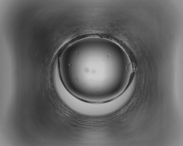 X0000113641165200909181451