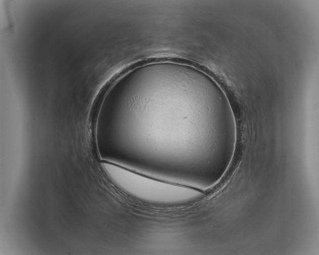 X0000113641167200909181451