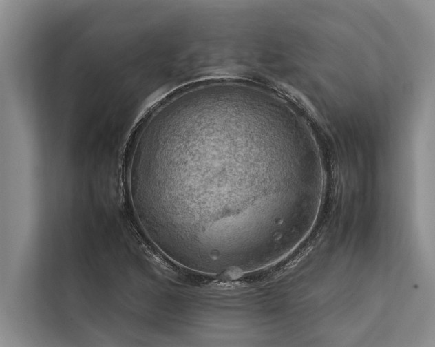 X0000113641168200909181451