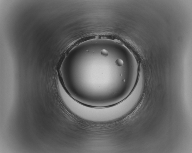 X0000113641169200909181451