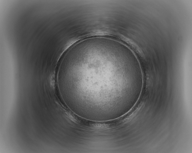 X0000113641170200909181451