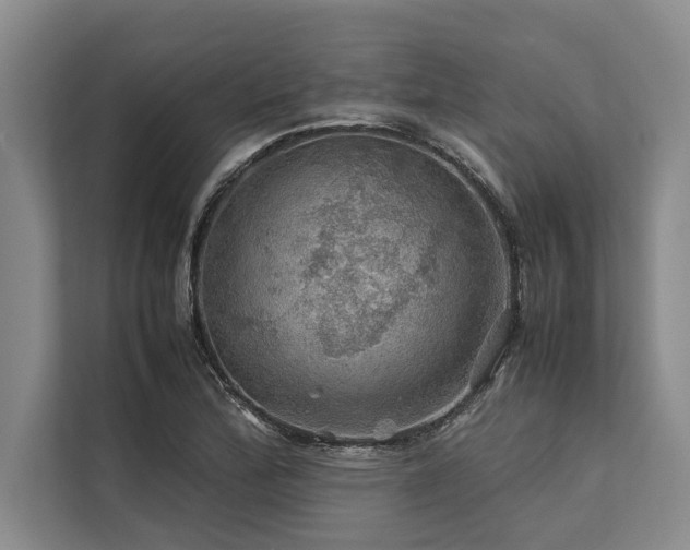 X0000113641172200909181451