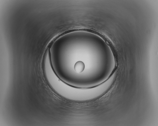 X0000113641173200909181451