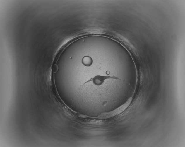 X0000113641174200909181450