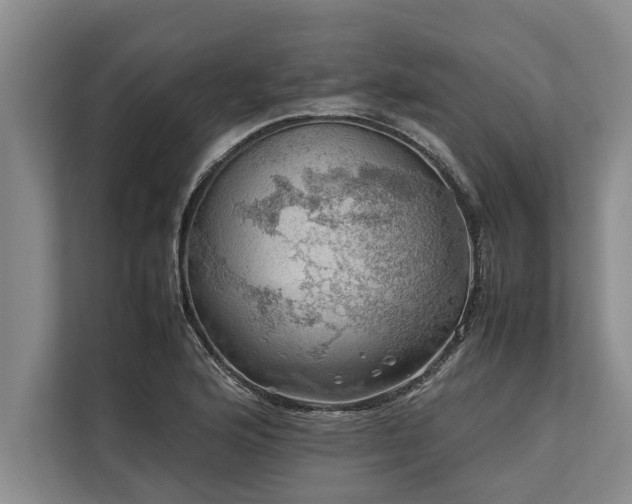 X0000113641176200909181450