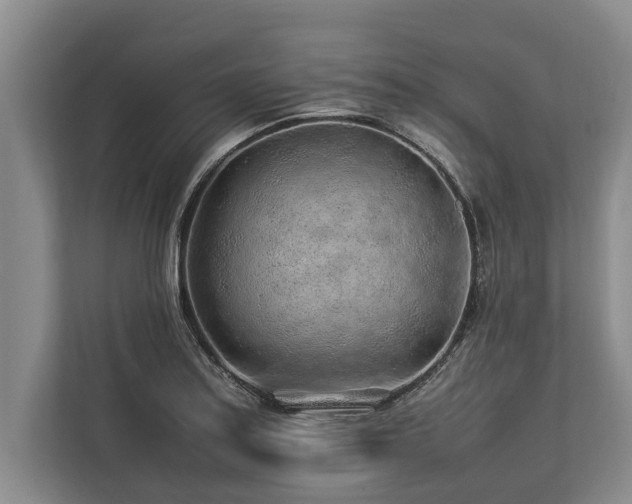 X0000113641179200909181450