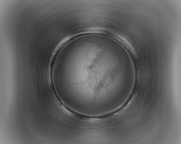 X0000113641180200909181450