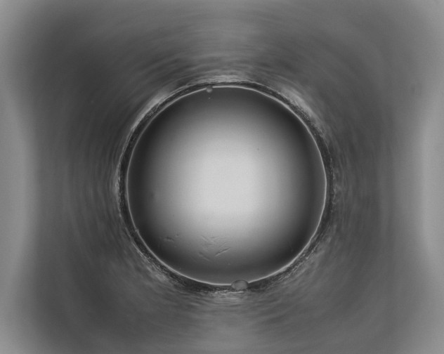 X0000113641181200909181450