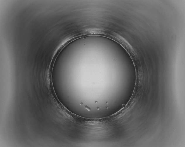 X0000113641182200909181450