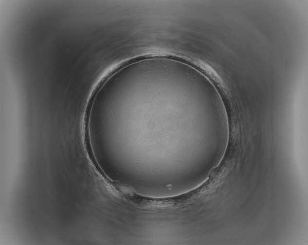 X0000113641183200909181450