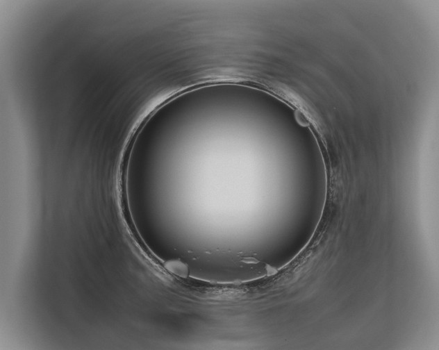 X0000113641187200909181450