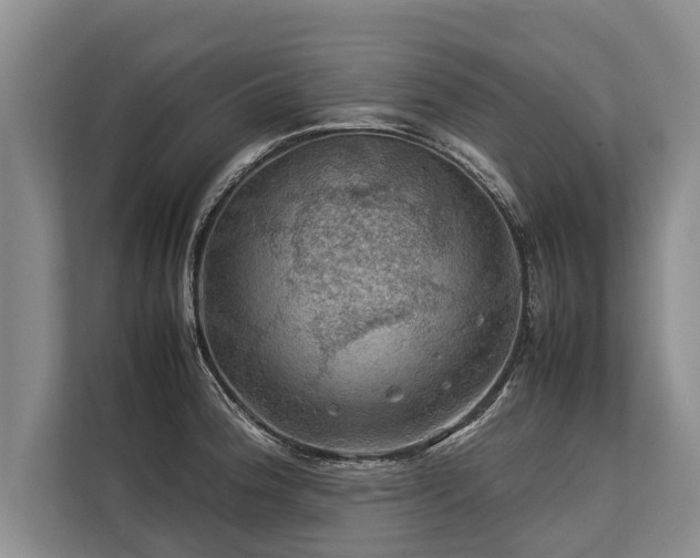 X0000113641188200909181450