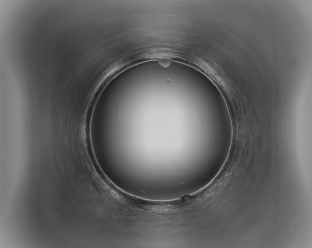 X0000113641189200909181450