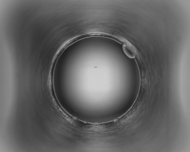 X0000113641191200909181450