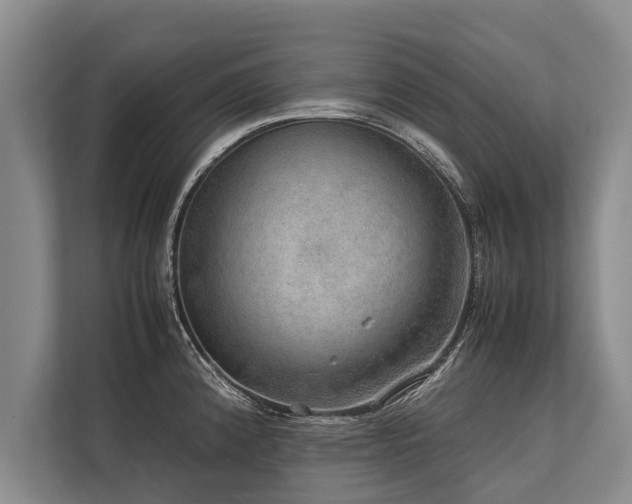 X0000113641192200909181450