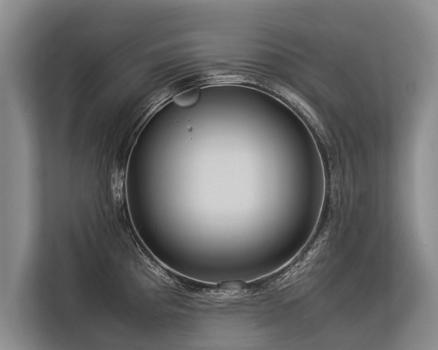 X0000113641193200909181450